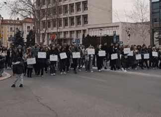 Protest u Nišu: Ukoliko zaboravimo 16 žrtava u Novom Sadu, brojaćemo nove protest Screenshot FB , JV