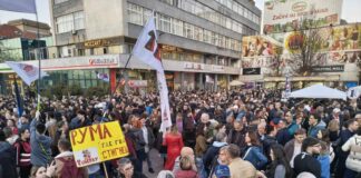 Protest u Nišu – „Država to smo mi“ država to smo mi-protest 4