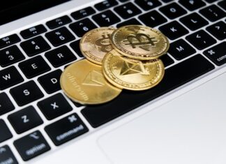 What kind of investor should you be in 2026? This type of investor thrives in cycles and doesn’t act against them. They have the necessary knowledge to understand that some assets, like cryptocurrencies, don’t move in straight lines.