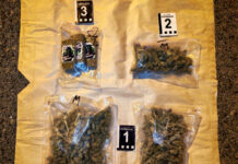 Uhapšen 21-godišnjak: Na auto-putu kod Aleksinca pronađeno oko 900 grama marihuane i hašiša