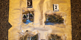 Uhapšen 21-godišnjak: Na auto-putu kod Aleksinca pronađeno oko 900 grama marihuane i hašiša