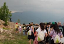 Niški izviđači ističu značaj zaštite životne sredine „promotivno – ekološkom“ šetnjom u Sićevu