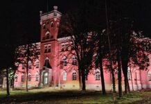 Pretučen, pa optužen: slučaj iz Niša otvara pitanje selektivne pravde prekrsajni sud nis