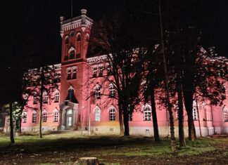 Pretučen, pa optužen: slučaj iz Niša otvara pitanje selektivne pravde prekrsajni sud nis