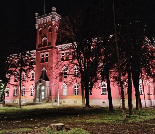 Pretučen, pa optužen: slučaj iz Niša otvara pitanje selektivne pravde prekrsajni sud nis