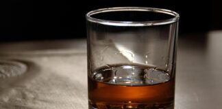„Nais rakija fest“ – prvi festival rakije u Nišu