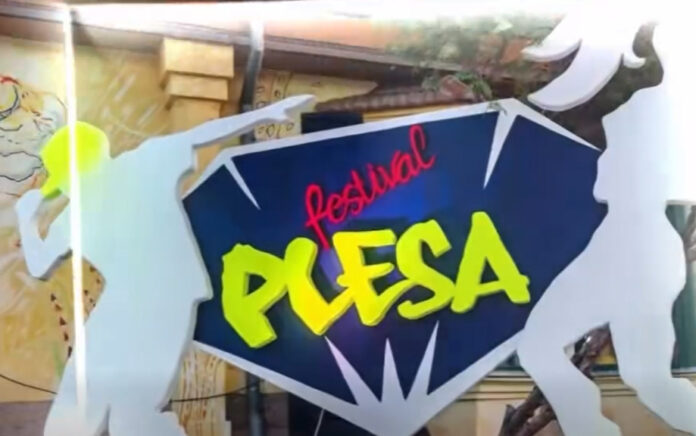 vestival plesa