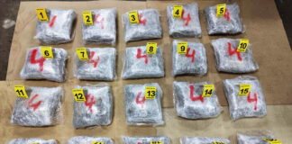 Na auto-putu kod Niša zaplenjeno više od 21 kilograma marihuane, uhapšen muškarac iz Prizrena marihuana