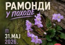 „Ramondi u pohode“ – planinarska akcija na Suvoj planini 31. maja