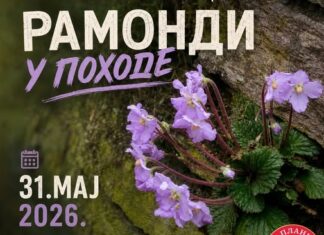 „Ramondi u pohode“ – planinarska akcija na Suvoj planini 31. maja