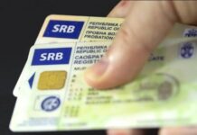 Nišlije taoci redova za registraciju vozila, „SRCE“ traži više šaltera i kraj haosa saobraćajne dozvole