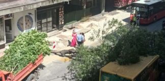 Palo drvo u centru Niša a grane završile na dostavnom kombiju, blokiran saobraćaj