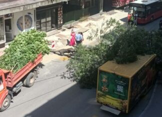 Palo drvo u centru Niša a grane završile na dostavnom kombiju, blokiran saobraćaj