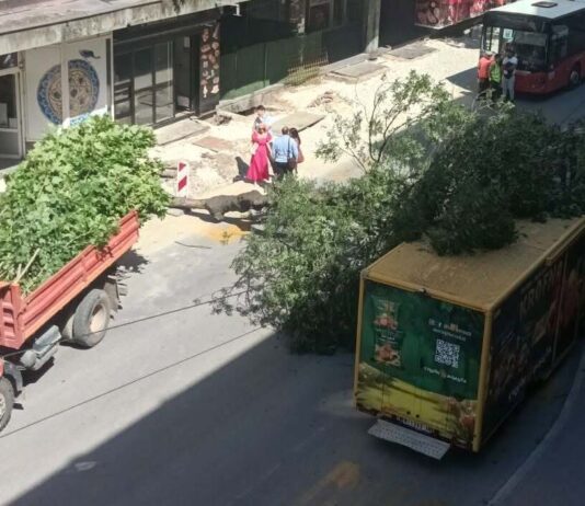 Palo drvo u centru Niša a grane završile na dostavnom kombiju, blokiran saobraćaj