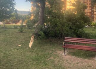 JKP „Mediana“ upozorava na mogućnost padanja grana usled nestabilnog vremena